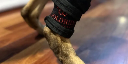 Goldride  Leg Wrap 34-WL