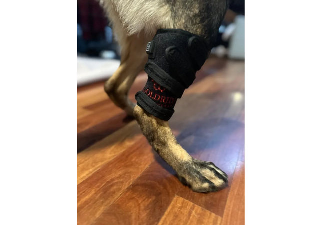 Goldride - Leg Wrap 34-WL (Sans fil)