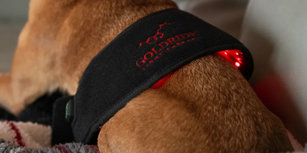 Goldride  Pad Model 80-WL (Wireless)