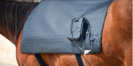 Goldride  Pad Model 1304-W (Wired) - Horse
