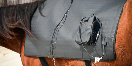 Goldride  Pad Model 1304-W (Wired) - Horse