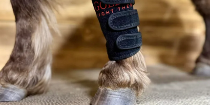 Goldride  Leg Wrap Model 40-WL (Wireless) - Pony