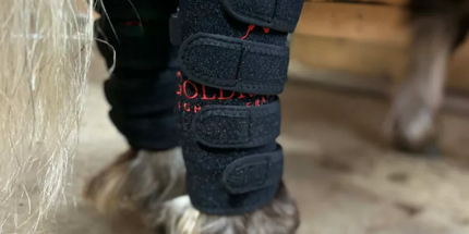 Goldride  Leg Wrap Model 40-WL (Wireless) - Pony