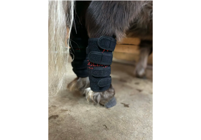 Goldride - Leg Wrap Model 40-WL (Sans fil) - Poney
