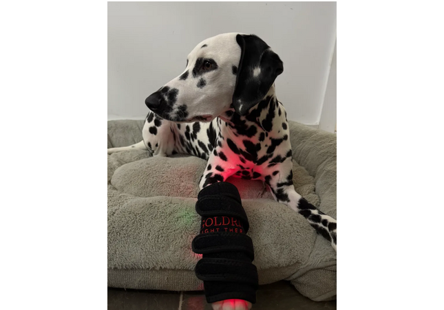 Goldride - Leg Wrap Model 40-WL (Sans fil)