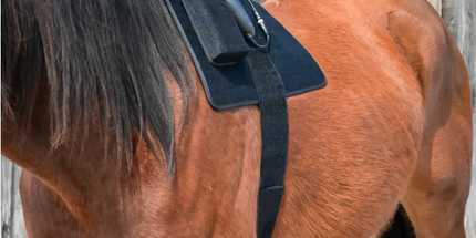 Goldride  Pad Model 468-W (Wired) - Horse