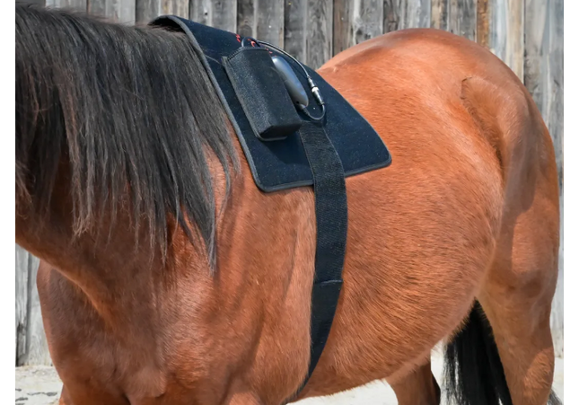 Goldride - Pad Model 468-W (Avec fil)