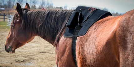 Goldride  Pad Model 468-W (Wired) - Horse