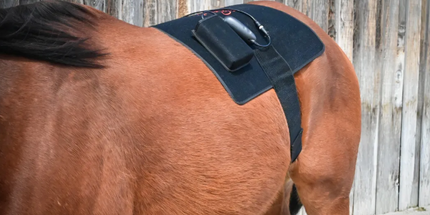 Goldride  Pad Model 468-W (Wired) - Horse