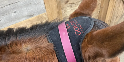 Goldride  Pad Model 64-WL (Wireless) - Poney