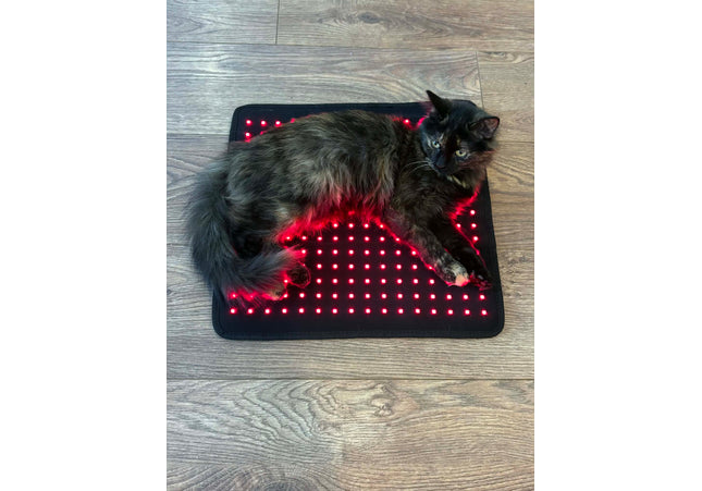 Goldride - Pad Model 240-WL (Sans fil)