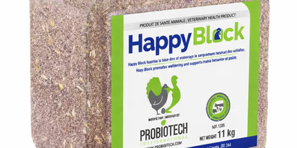 Probiotech Bloc à picorer Happy Block pour poule 11 kg
