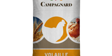 Campagnard Début dinde 25 Kg