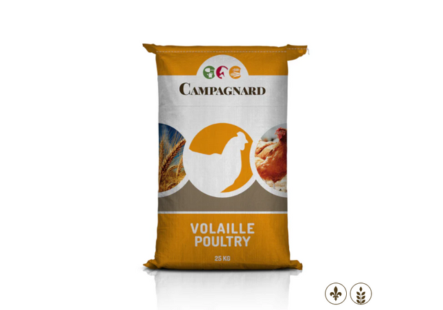 Campagnard Moulée Début dinde granule (25 Kg)