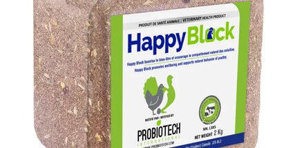 Probiotech Happy Block pour poule 2kg