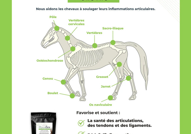 Hycoflex Santé articulaire pour chevaux - 30 sachets