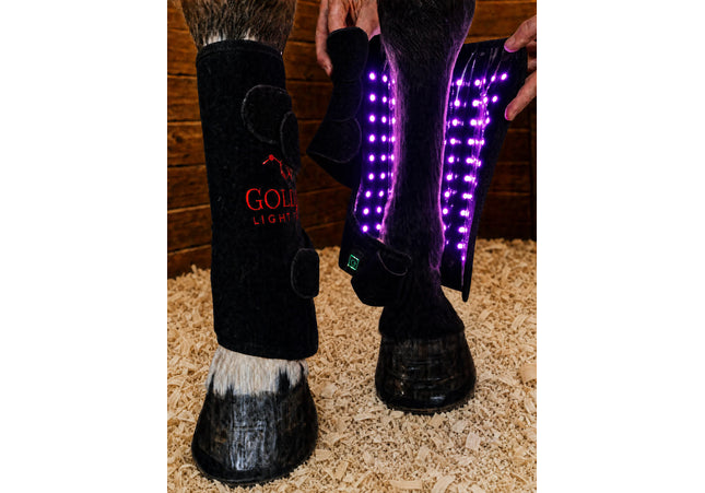 Goldride - Leg Wrap Model 110-WLC (Lumière bleu) - Paire