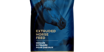 Blue Seal Senior Active Extrudée 22,65 kg