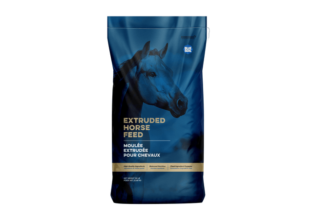 Blue Seal, Senior Active Extrudée, 22,65 kg