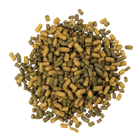 Blue Seal, Senior Active Extrudée, 22,65 kg
