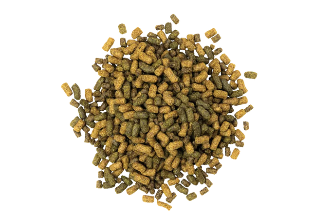 Blue Seal Senior Active Extrudée 22,65 kg