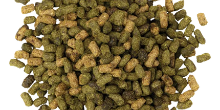 Blue Seal Senior Extrudée 22,65 kg
