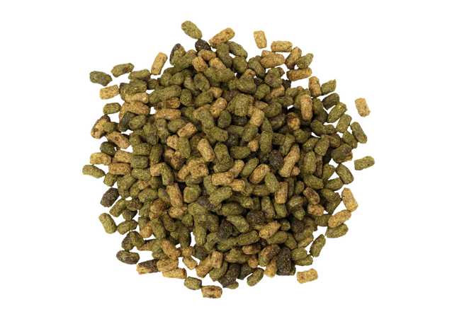 Blue Seal Senior Extrudée 22,65 kg