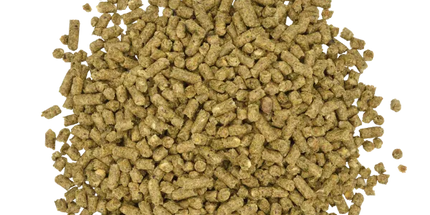 Blue Seal Carb-Guard Moulée pour cheval Extrudée 22,65 kg