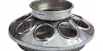 Base de mangeoire pot Mason pour poussins