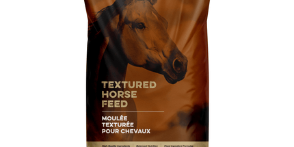 Peak Rider 12 | Moulée complète pour cheval | Texturée | 22 ,65 kg | Inspire