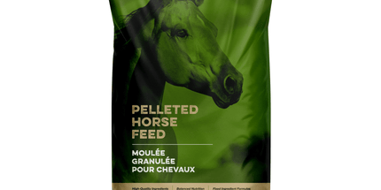 Blue Seal Min-A-Vite , Supplément compensateur  11,3 kg