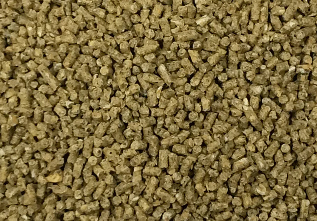 Campagnard Supplément Suprême 31% - (25kg)