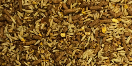 Campagnard Moulée Tradition -(25kg)
