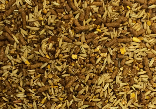 Campagnard Moulée Tradition -(25kg)