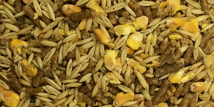 Campagnard Moulée Vaillante (25 kg)