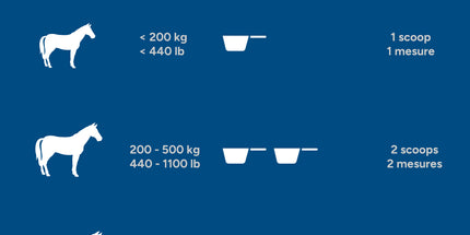 MadBarn Acétyl-L-Carnitine – Énergie & Performance 1 Kg
