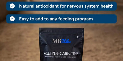 MadBarn Acétyl-L-Carnitine – Énergie & Performance 1 Kg