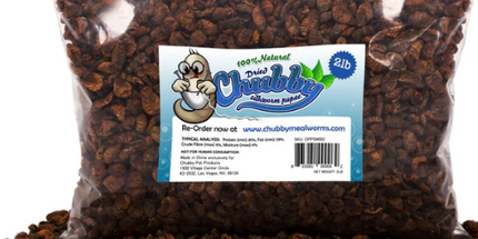 Dried Chubby Mealworm Nymphes de vers à  soie séchées 2 lbs