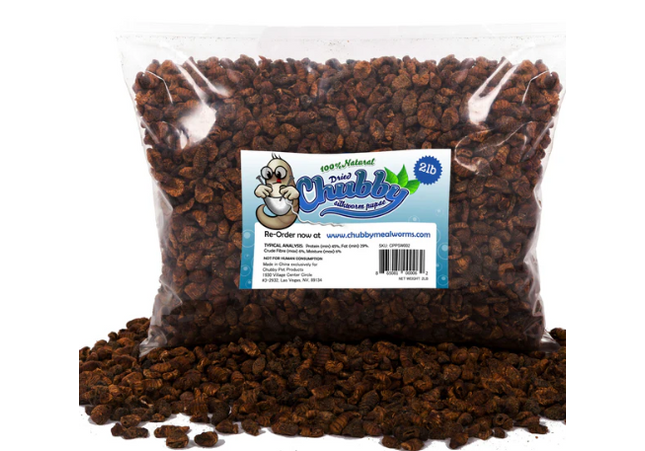 Dried Chubby Mealworm Nymphes de vers à  soie séchées 2 lbs