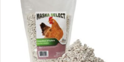 Maska select Coquilles d'huître 4 kg