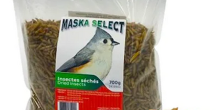 Maska Select Larves Mouche soldat noire insectes séchées 2 kg