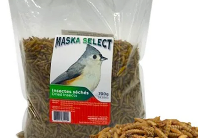 Maska Select Larves Mouche soldat noire insectes séchées 2 kg