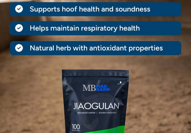 Mad Barn Jiaogulan – Support naturel pour les poumons, la circulation et la performance. 1 Kg