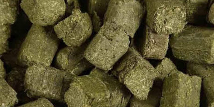 Semican Alfalfa cube de Luzerne- (50 lbs)
