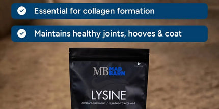 MadBarn L-Lysine- Supplément d'acide aminé. 1 Kg
