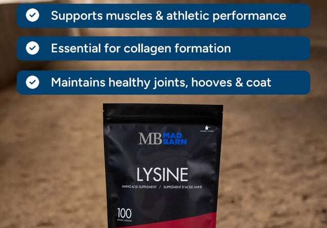 MadBarn L-Lysine- Supplément d'acide aminé. 1 Kg