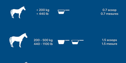 Madbarn MSM – Soutien articulaire naturel. 5 Kg