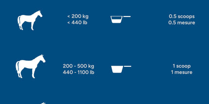 MadBarn NOCR – Chevaux métaboliques & fourbure 1 Kg