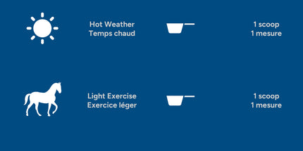 MadBarn Performance XL – Électrolytes & Hydratation 5kg