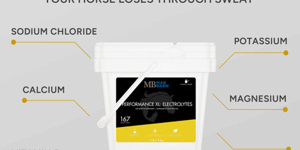 MadBarn Performance XL – Électrolytes & Hydratation 5kg